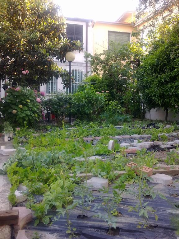 Eco B&B I Due Oleandri Marina di Carrara Kültér fotó