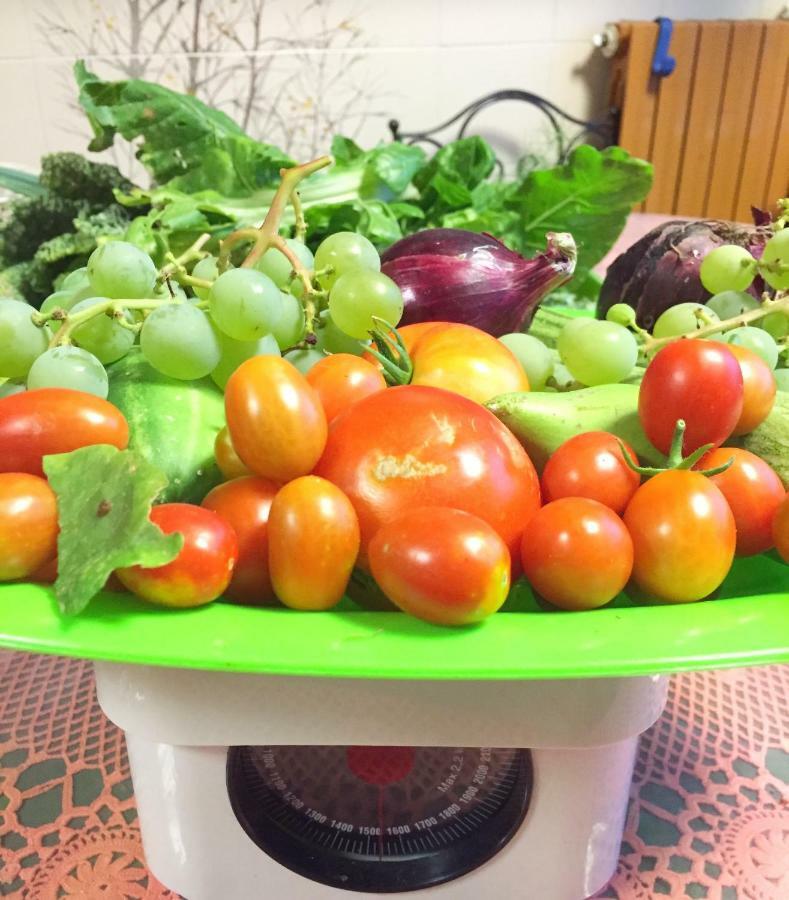 Eco B&B I Due Oleandri Marina di Carrara Kültér fotó