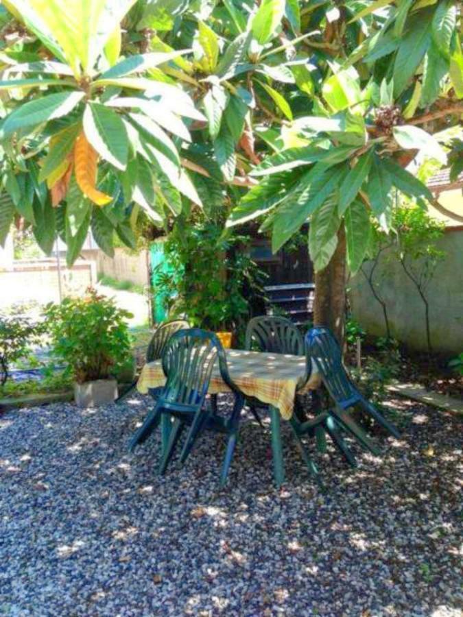 Eco B&B I Due Oleandri Marina di Carrara Kültér fotó